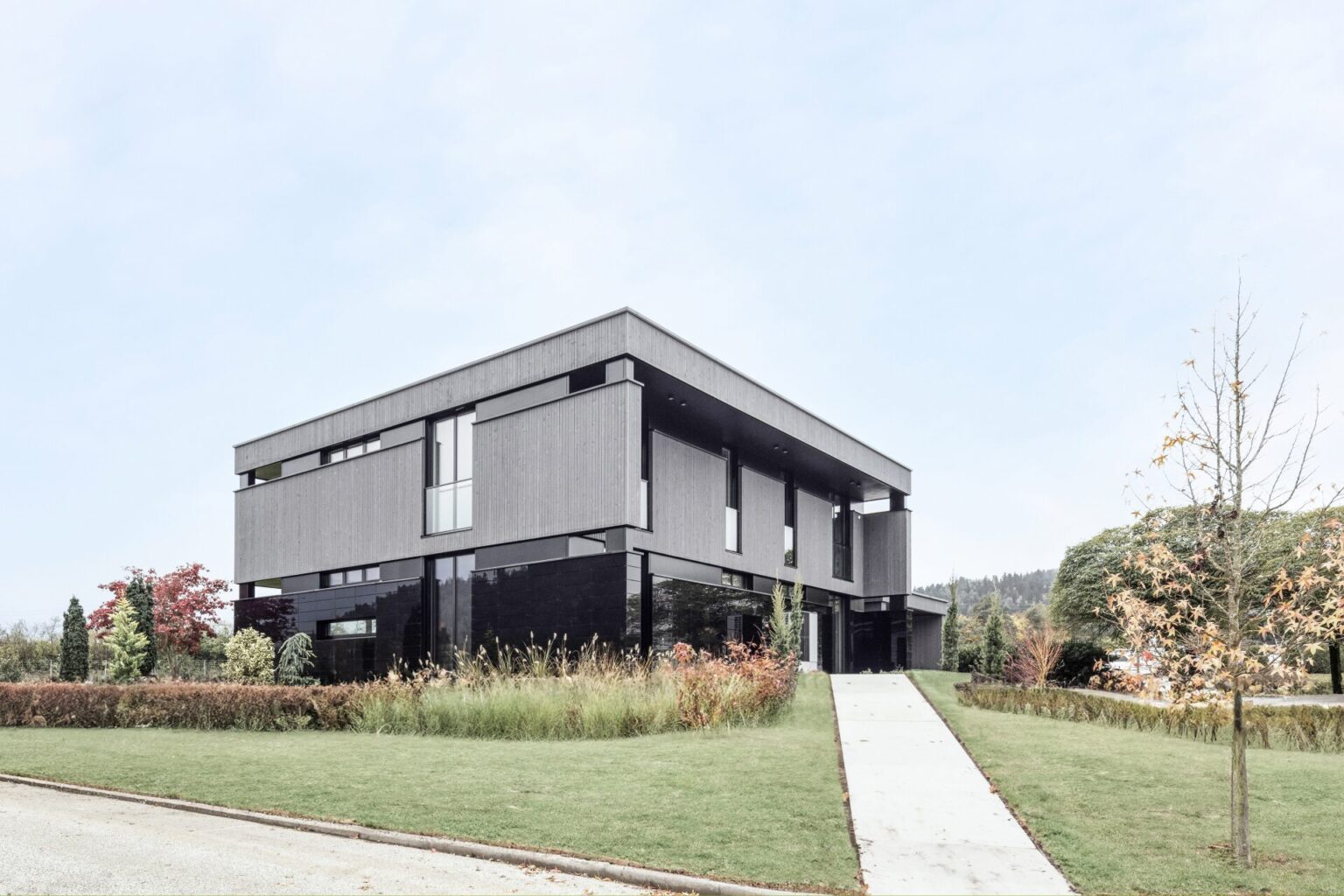 Griffner Porshe bendradarbiavimas