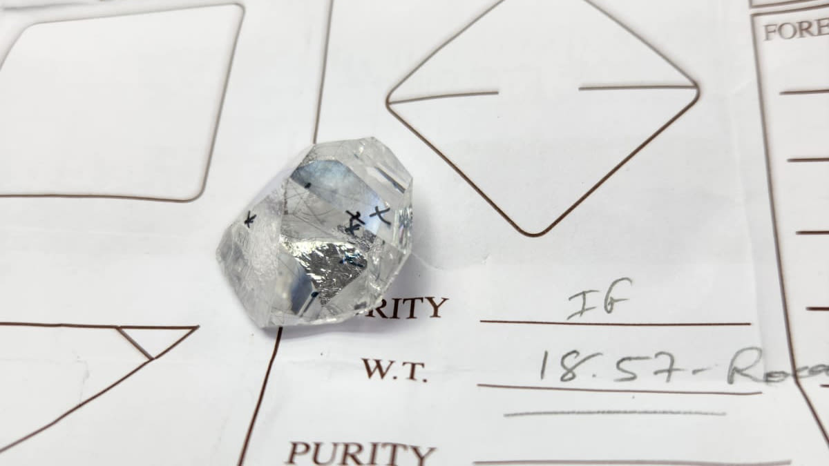 Vaizdas 20240718 Wa0016 Apkarpytas