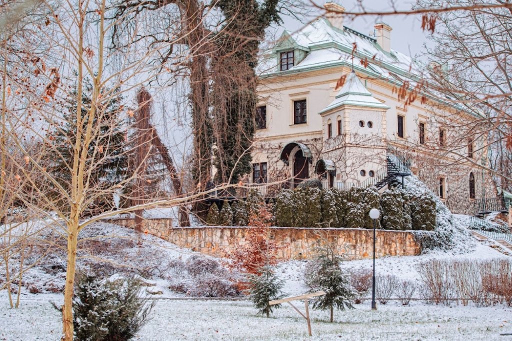 Odrowąż rūmai žiemą