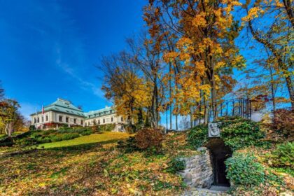 Odrowąż rūmai rudenį