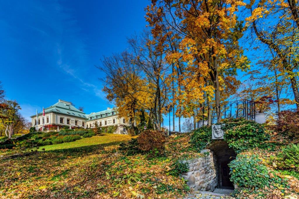 Odrowąż rūmai rudenį