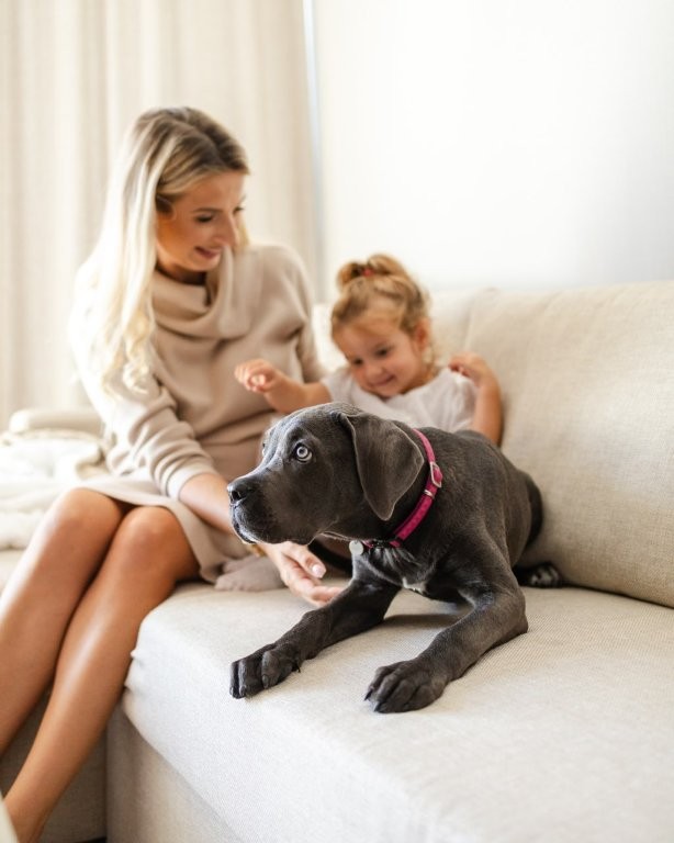 Šuo viešbutyje "Linea Mare