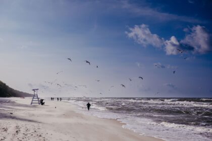 Žiemos pasivaikščiojimai prie jūros Linea Mare