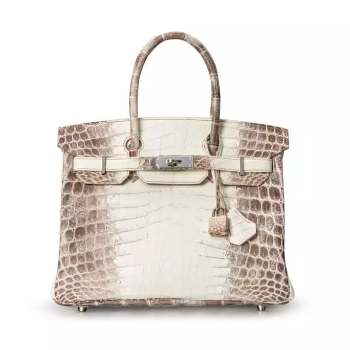Hermes Vs Klientės Birkin1 rankinė