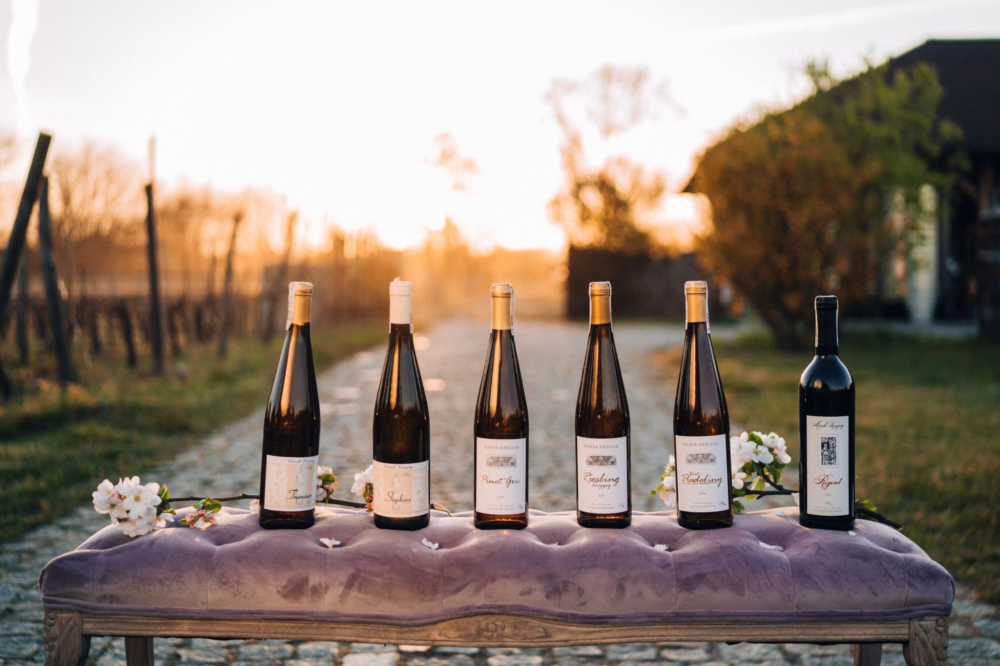 Vynuogynai Žaliojoje Gūroje