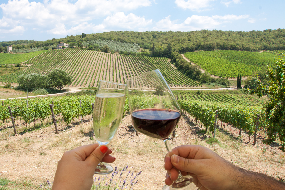 Vynuogynai Toskanoje